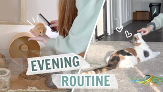 Evening Routine with the Pets!